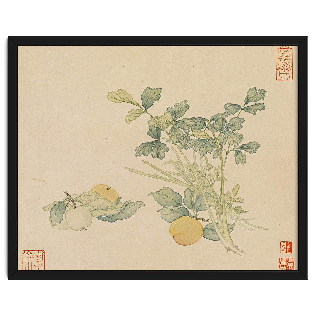 Wang Chengyu~flowers And Vegetables, Vegetables, Fruits, Plums, Apricots, Celery