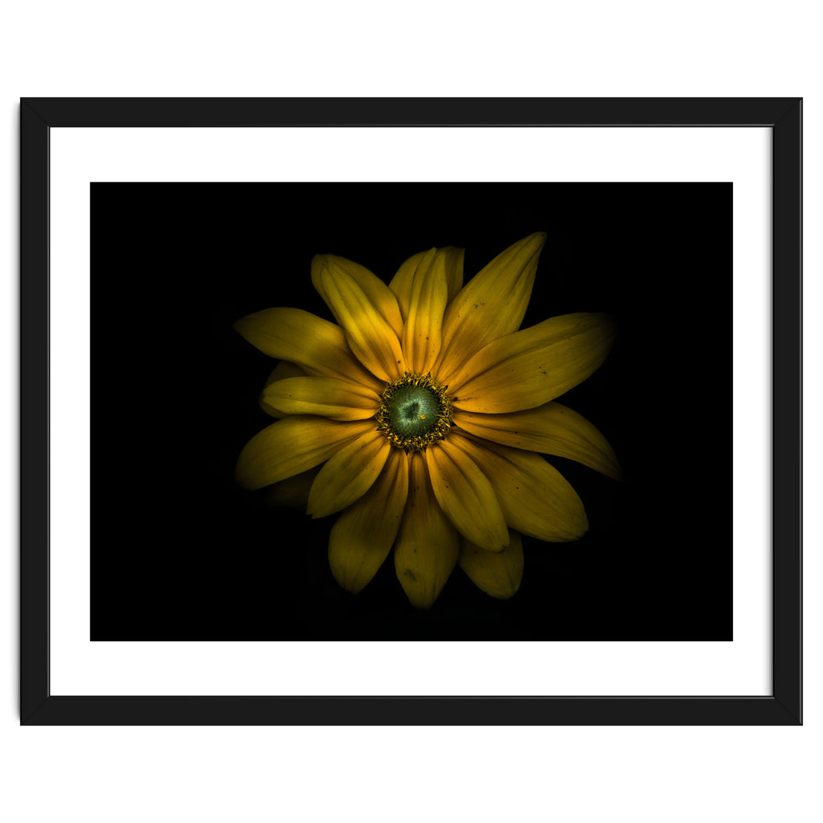 Backyard Flowers No 34 Color Version