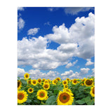 Nature (Print Only) thumbnail