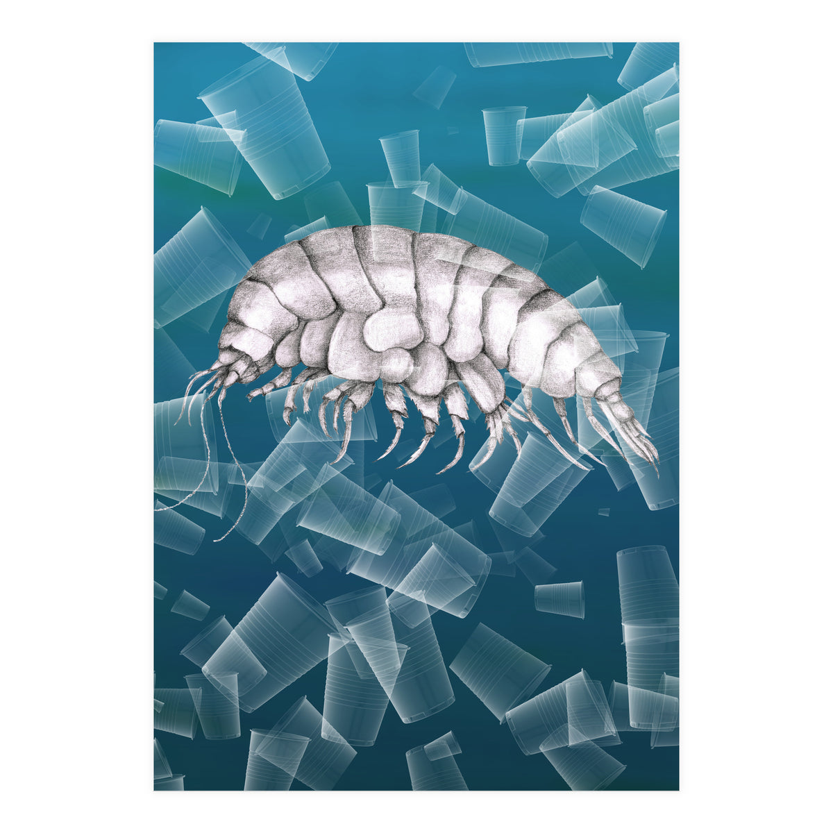 Eurythenes Plasticus (Print Only)