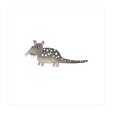 Quoll (Print Only) thumbnail