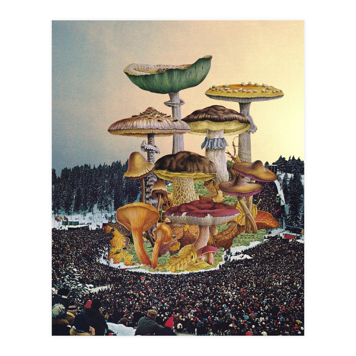Mushroom Festival (Print Only)