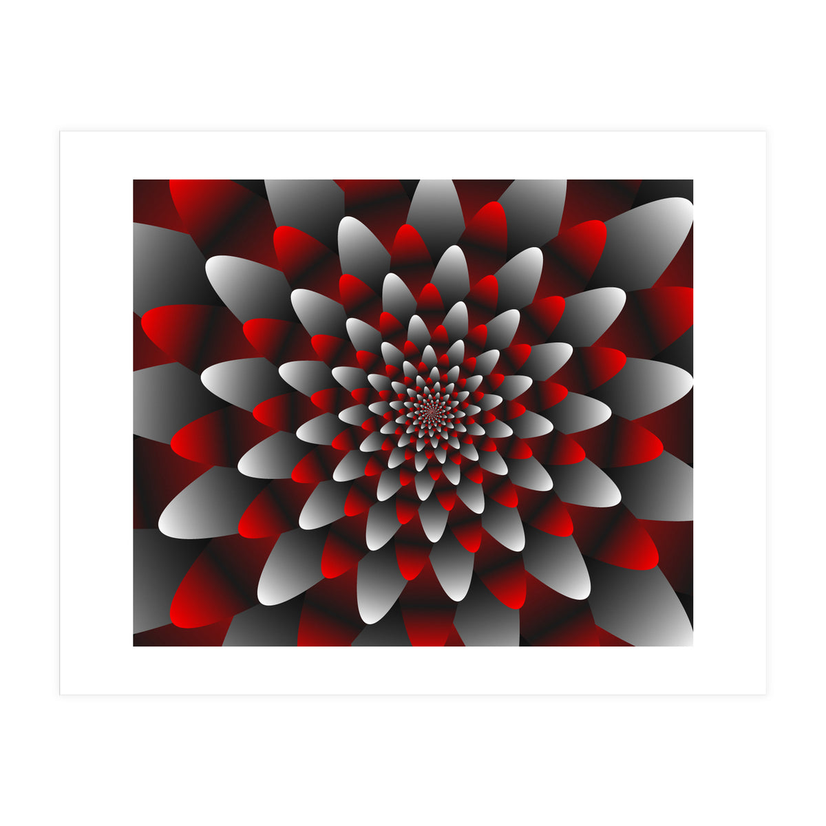 Beautiful Modern Flower Graphics (Print Only)