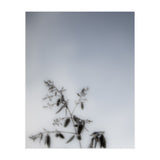 Forgotten Memories of Summer #17 (Print Only) thumbnail