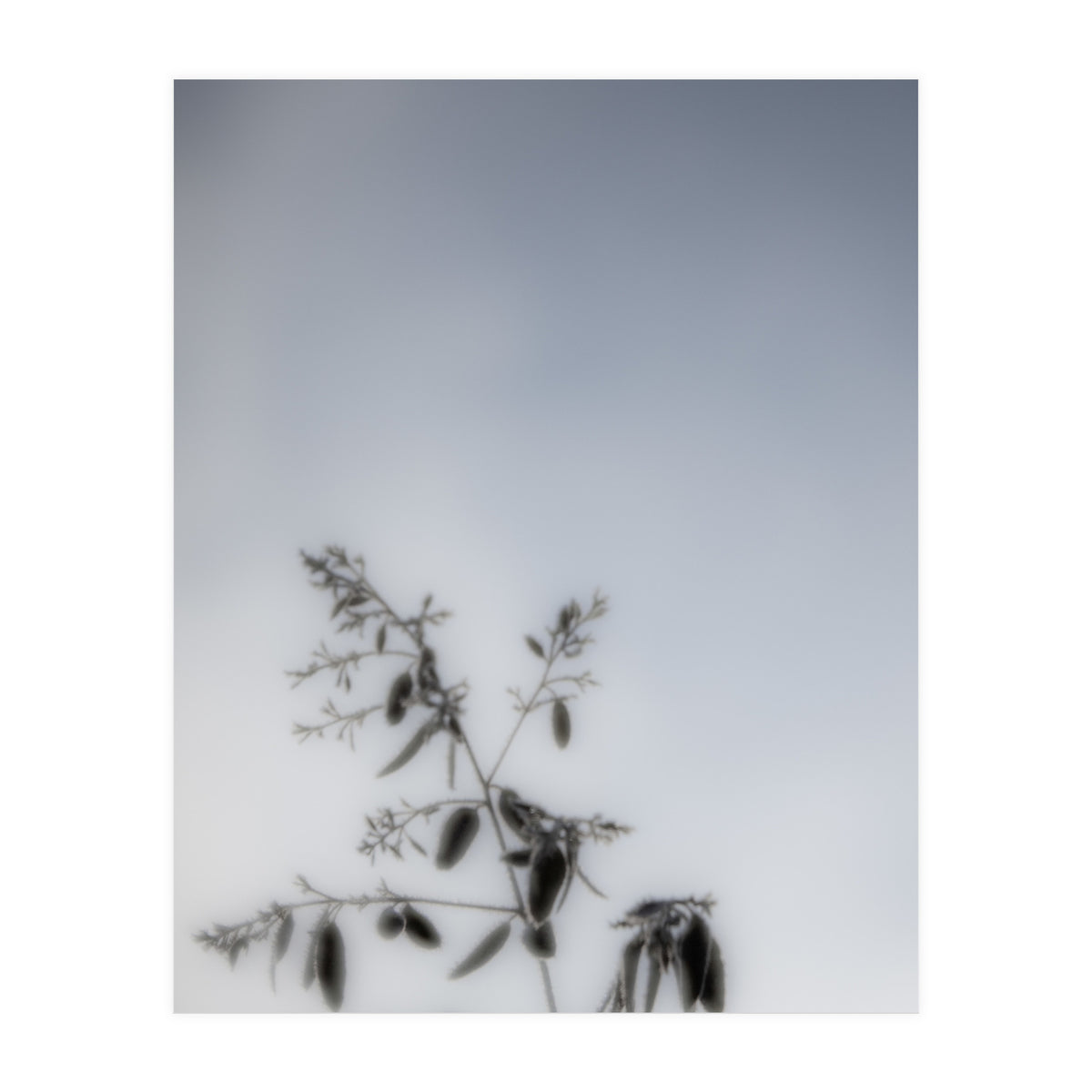 Forgotten Memories of Summer #17 (Print Only)