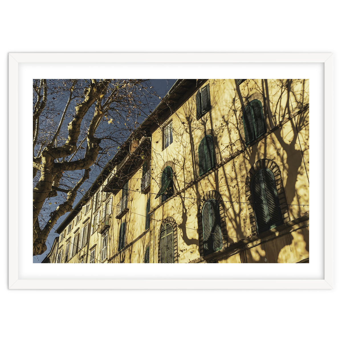 Windows From Tuscany 3