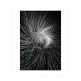 Mad Mind 1 (Print Only) thumbnail