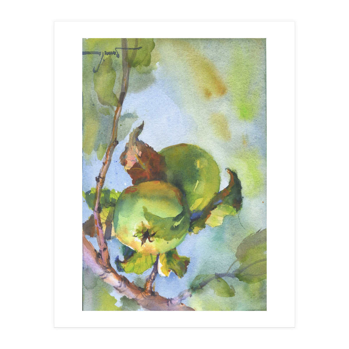 Apples on a branch (Print Only)