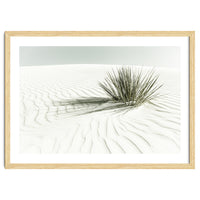 WHITE SANDS Idyllic scenery | Vintage