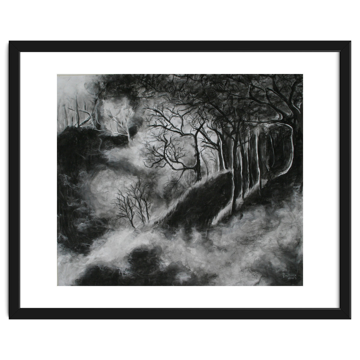 Black and White Forest in Clouds