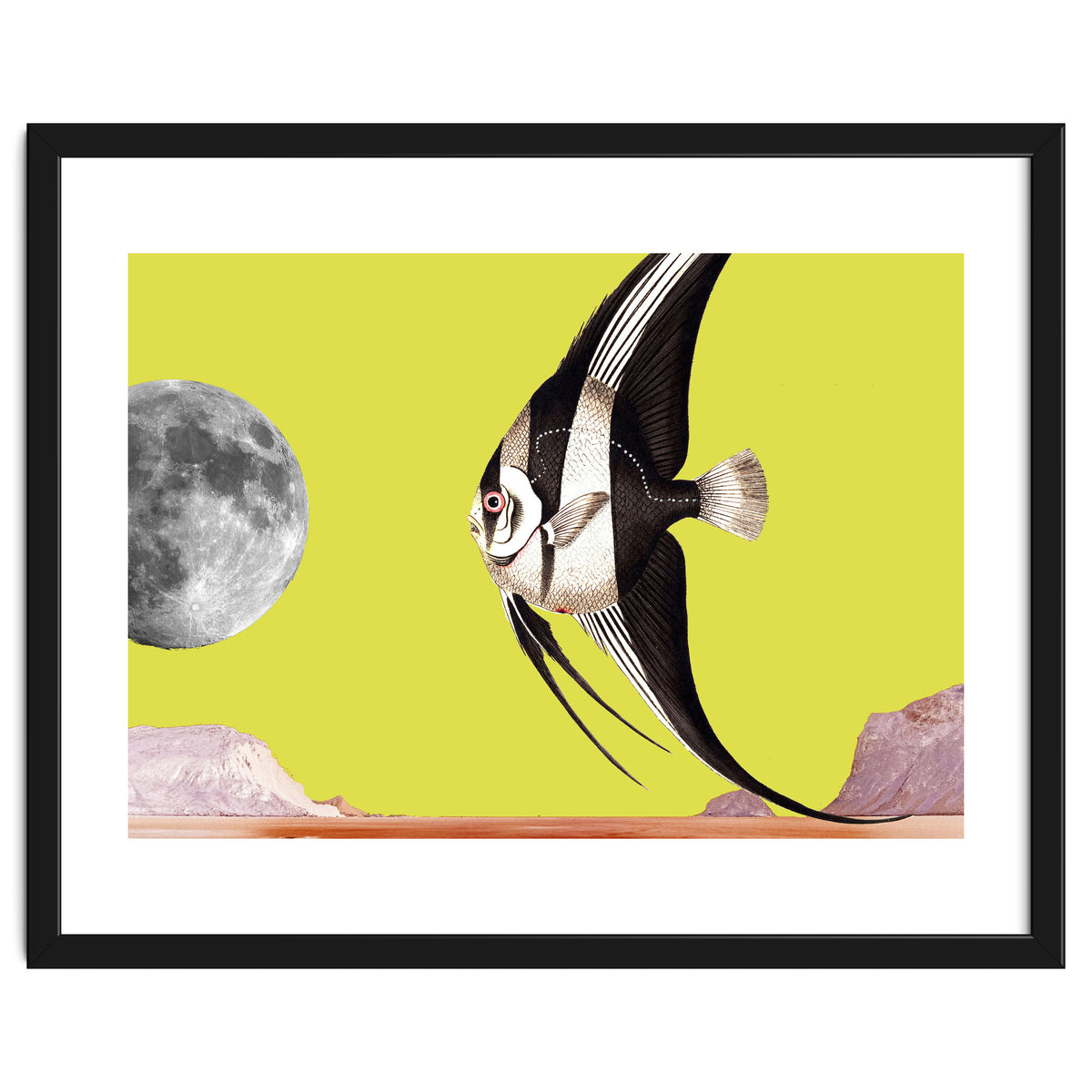 Plenty of fish in the sea yellow