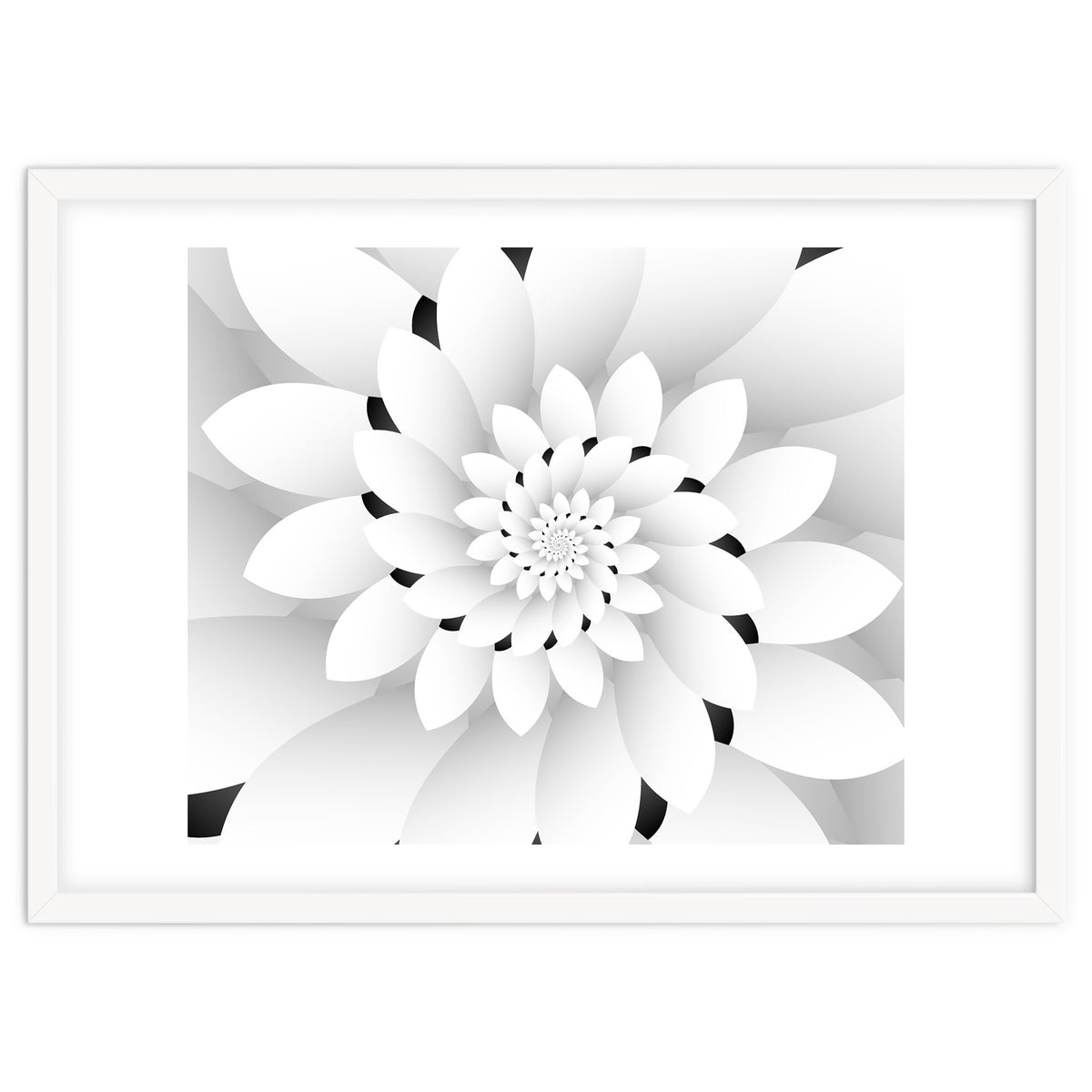 Monochrome Floral Design