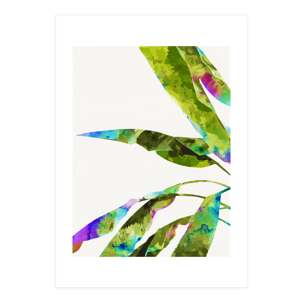 Banana Leaves Holi (Print Only)