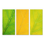 Autumn Leaves (Print Only) thumbnail