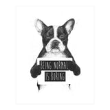 Being Normal Is Boring (Print Only) thumbnail