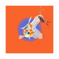 Koi Carp N Diver (Print Only)