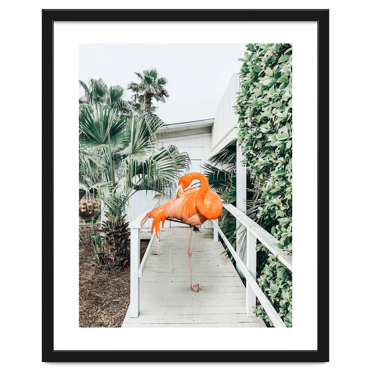 Flamingo Beach House