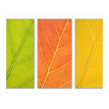 Autumn Leaves (Print Only) thumbnail