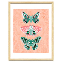 Lepidoptery No. 3