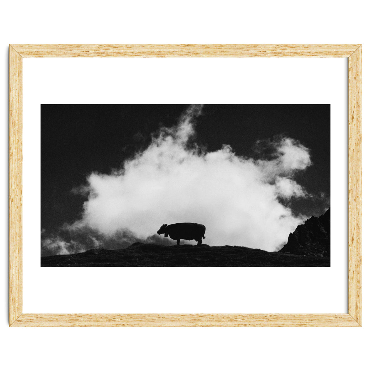 cow and cloud