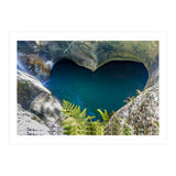 Nature (Print Only) thumbnail