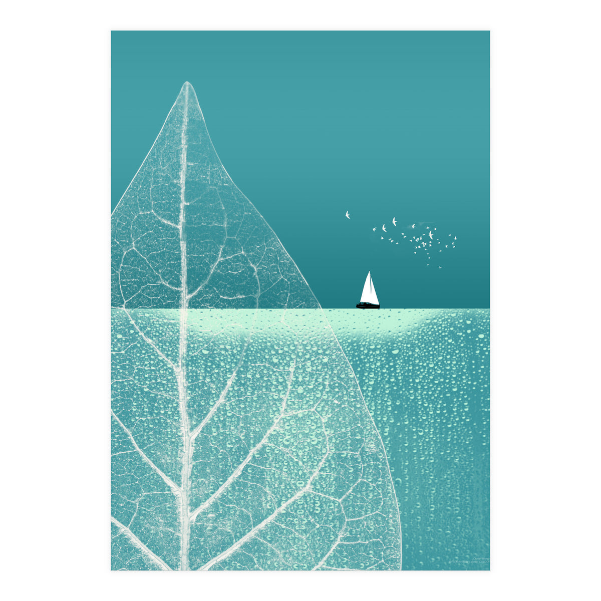 Ocean Wonderland II (Print Only)