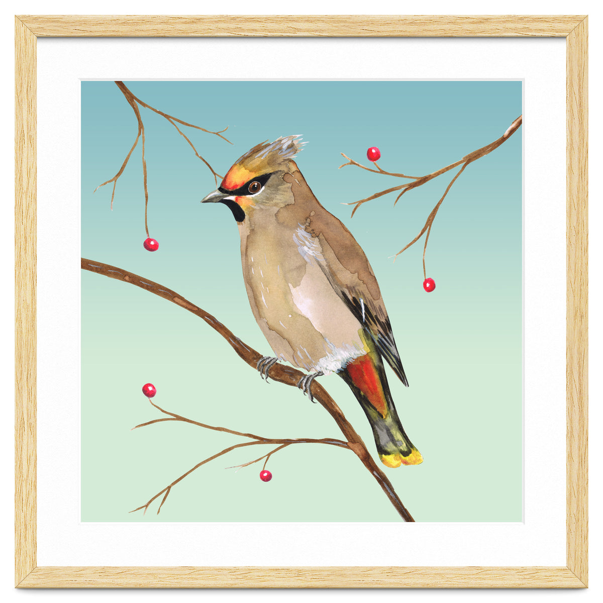 Bohemian waxwing