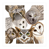 Owls (Print Only) thumbnail