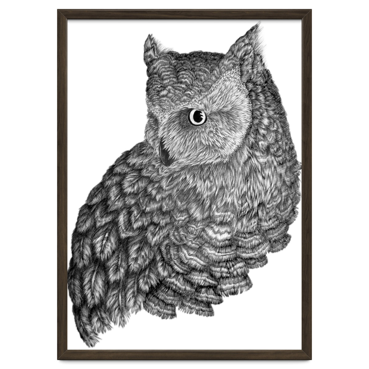 A Friend For Forsythe