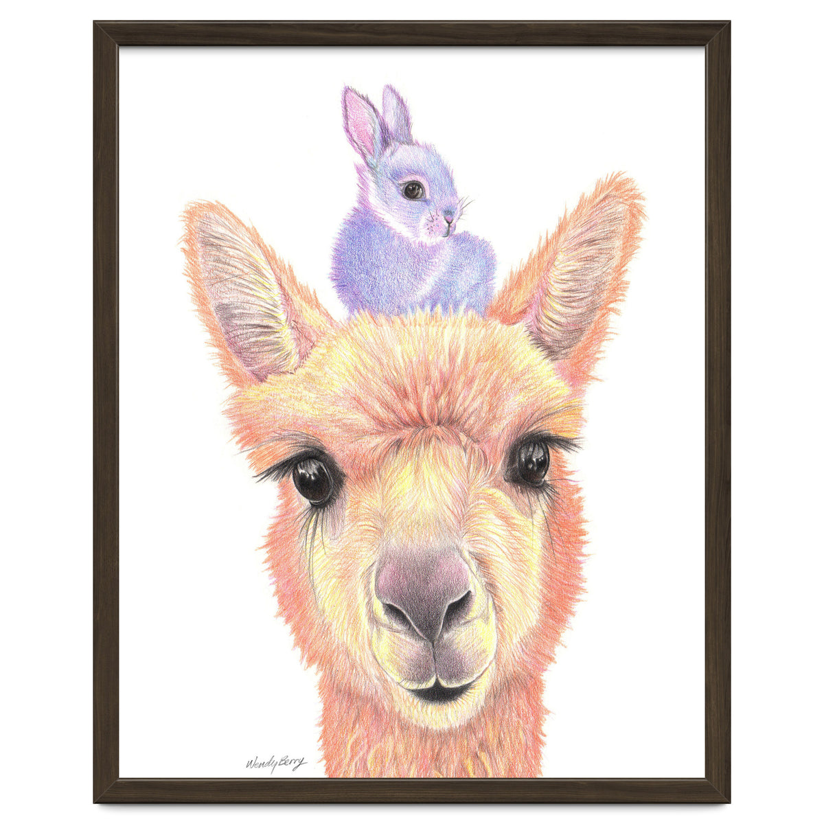 Alpaca and Bunny