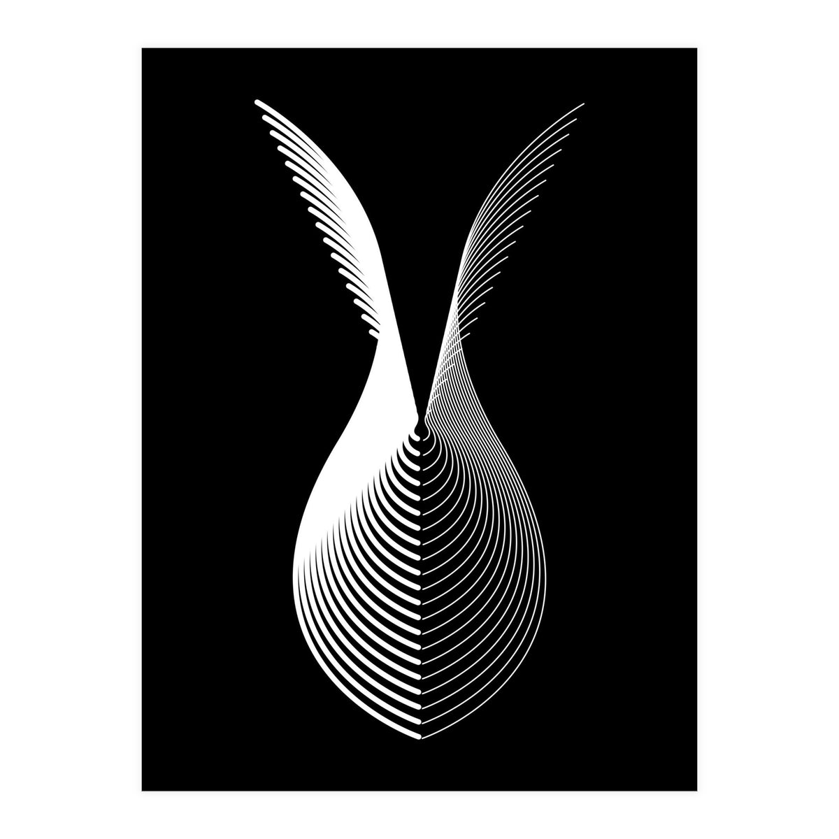 Wings_Black (Print Only)