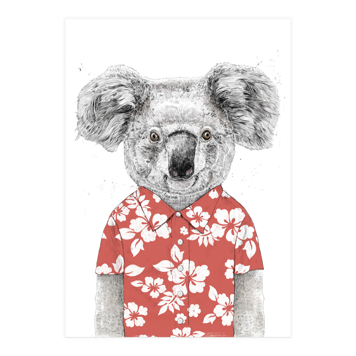 Summer Koala  (Print Only)