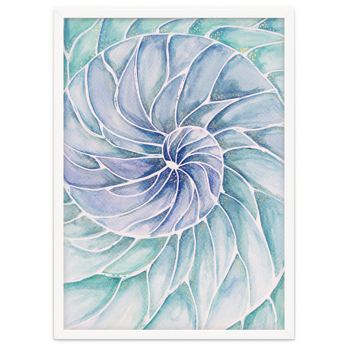 The inside of a shell