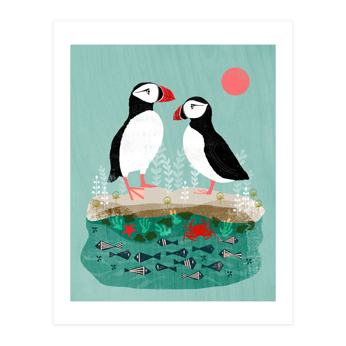 Puffin (Print Only)