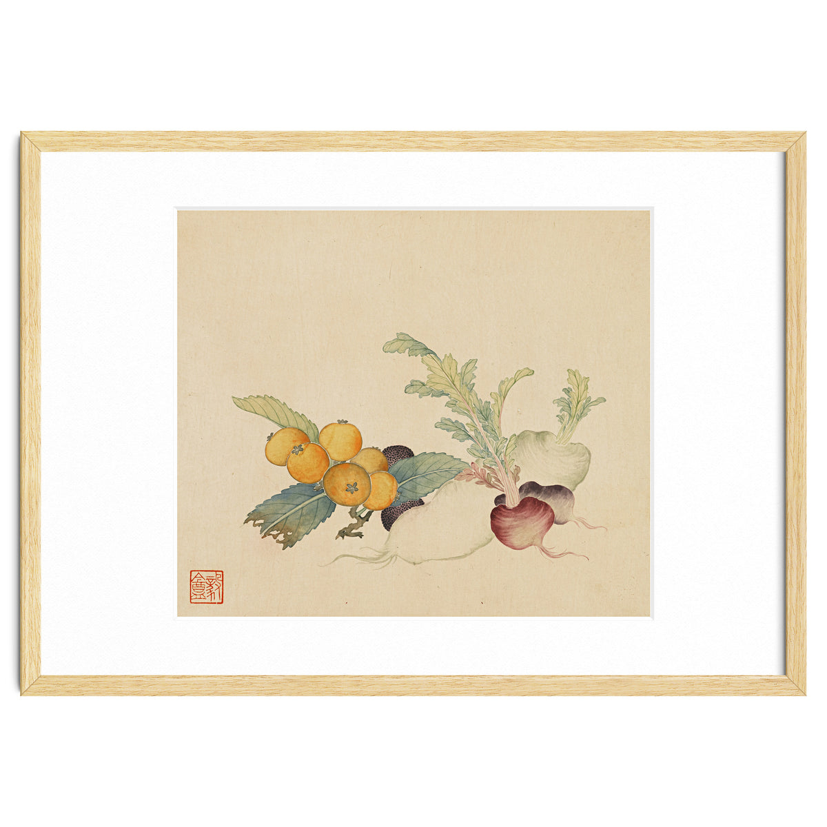 Wang Chengpi~flowers And Vegetables, Vegetables, Fruits, Loquat, White Radish, Carrot, Radish