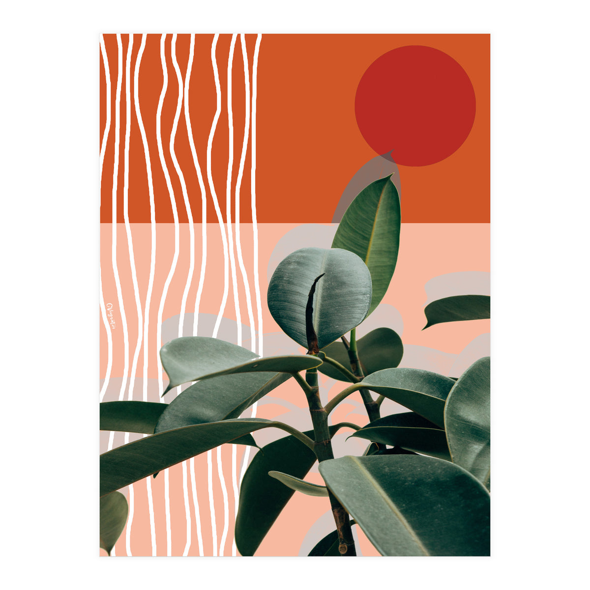 Times of a Growing Plant (Print Only)