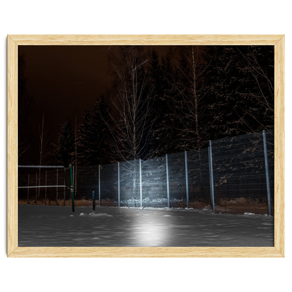 What the Hell did I just See?