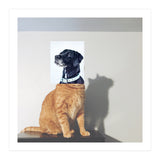 Domestic Animal (Print Only) thumbnail