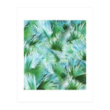 Palm Dreamer (Print Only) thumbnail