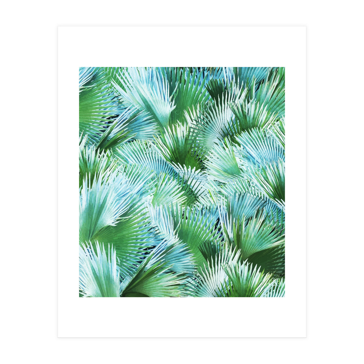 Palm Dreamer (Print Only)