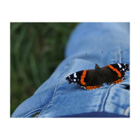 Friendly Butterfly (Print Only)