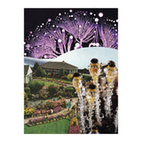 Fungi (Print Only) thumbnail
