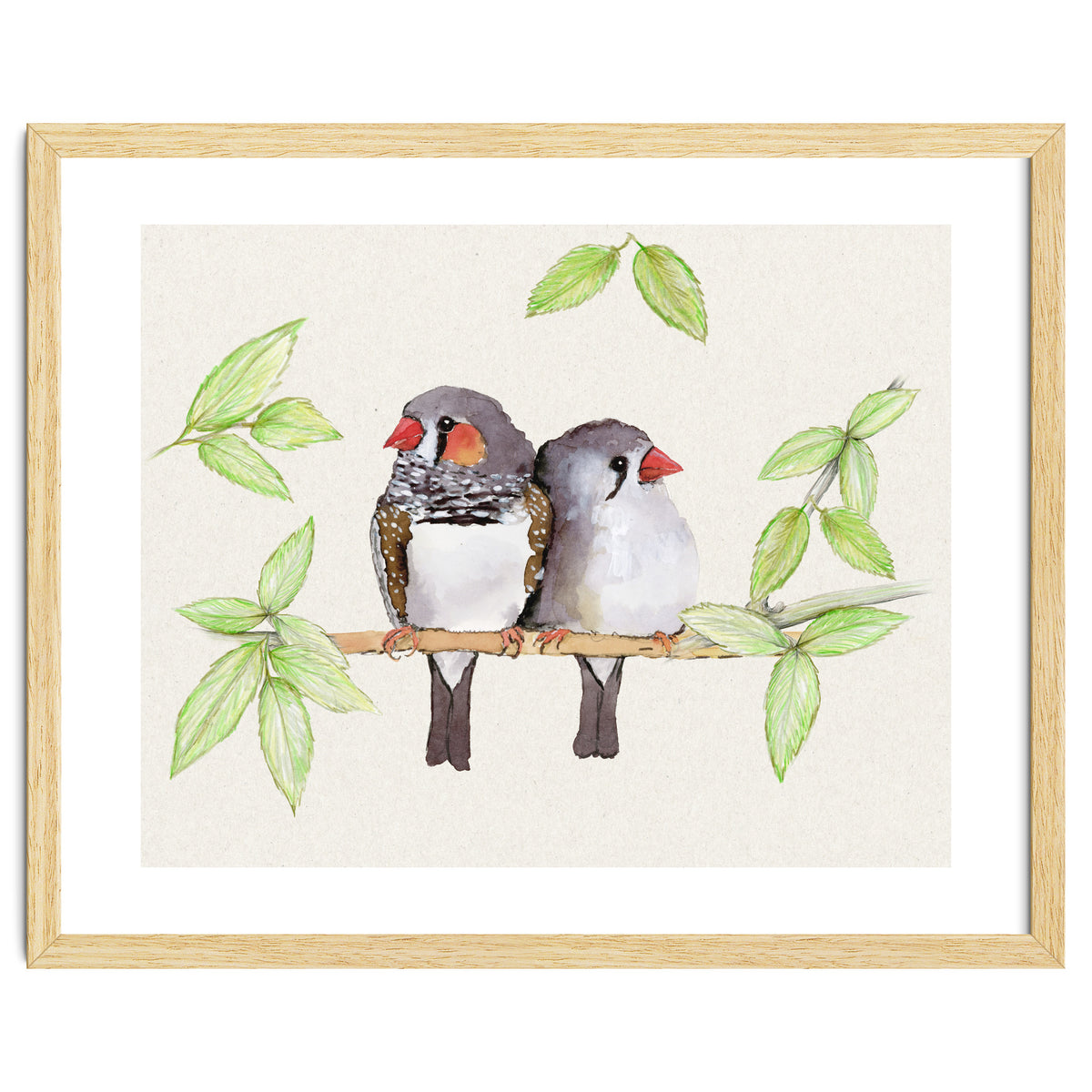 Sweet couple of zebra finches