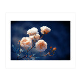 Rose Garden (Print Only) thumbnail
