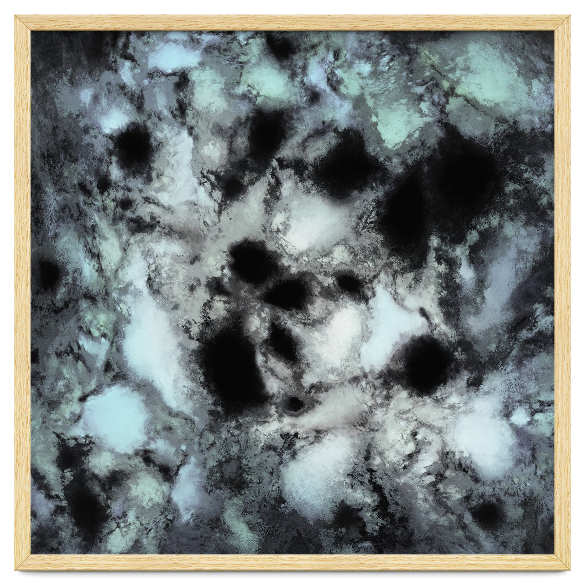 Searching For Animal Tracks