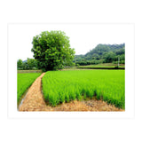 Path  (Print Only) thumbnail