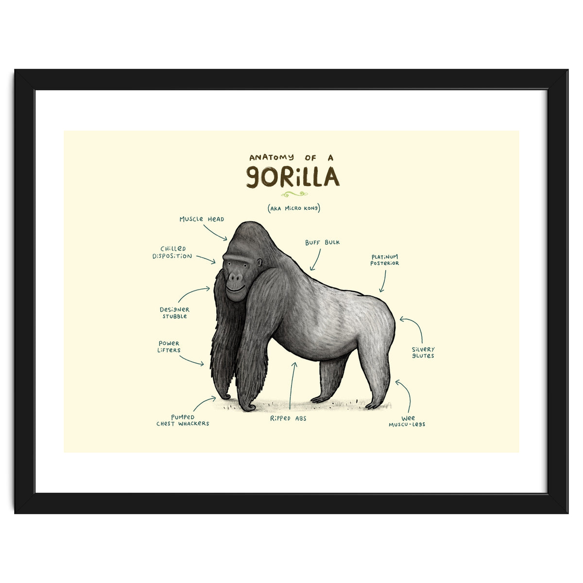 Anatomy of a Gorilla