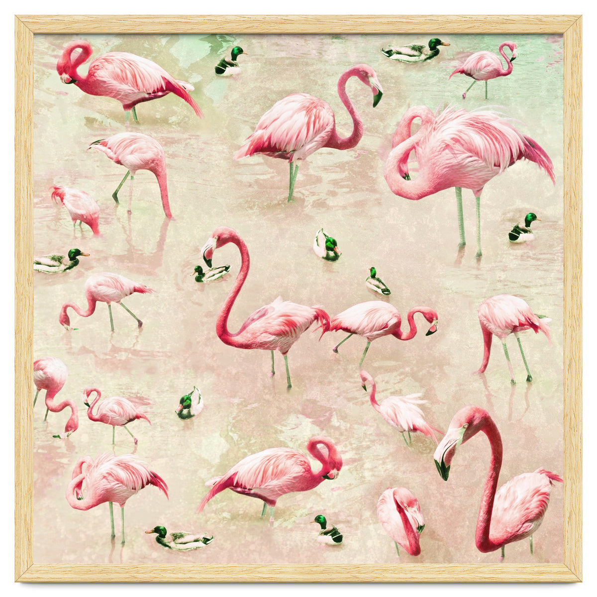 Flamingos Vintage Pink