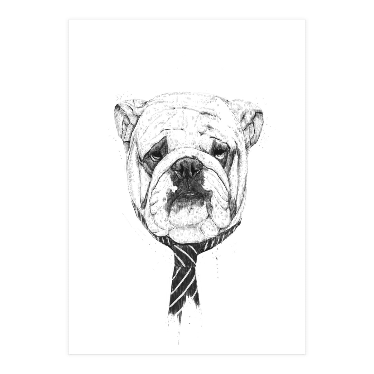 Cooldog (Print Only)