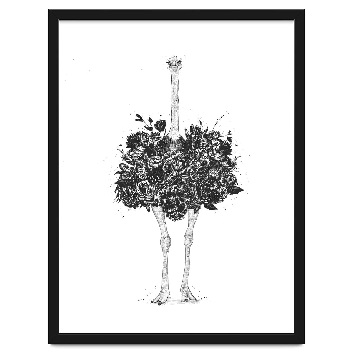 Floral Ostrich